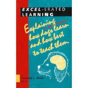 Excelerated Learning